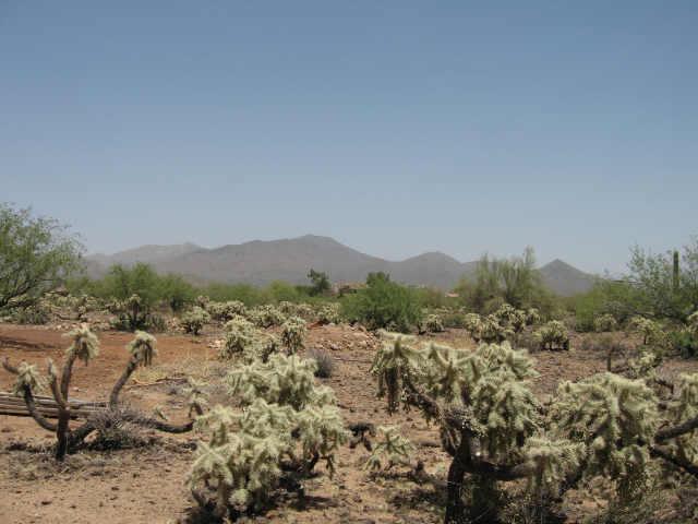40710 N 54th St. #D, Cave Creek, AZ 85331