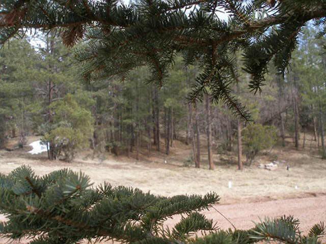 E Running Elk Rd. #4C, Christopher Creek, AZ