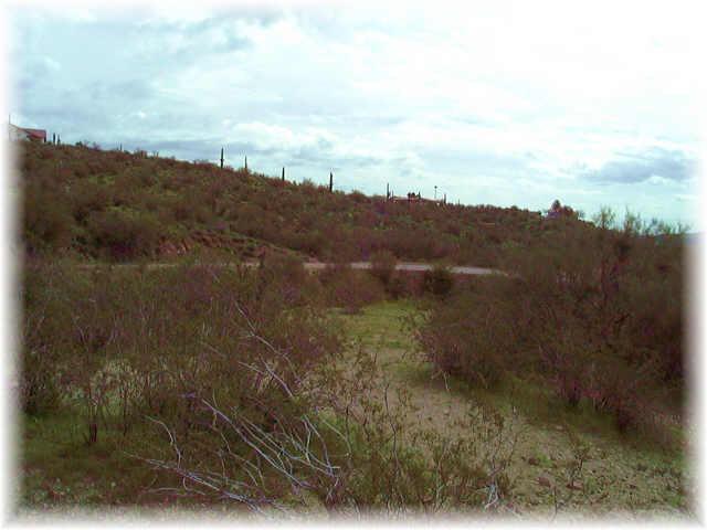 N Rio Vista Hills Rd., Wickenburg, AZ 85390