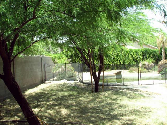 4030 W Saddlehorn Rd., Glendale, AZ 85310