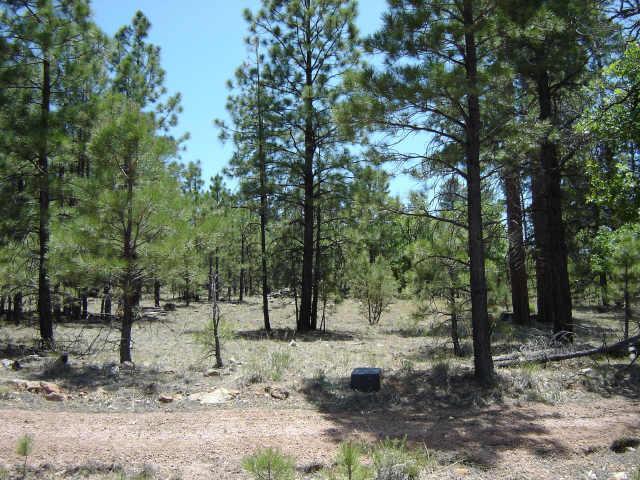 177 N Pine Canyon Dr., Happy Jack, AZ 86024