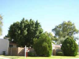 525 N May St. #13, Mesa, AZ 85201