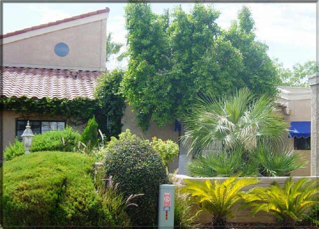 903 W Glendale Ave. #10, Phoenix, AZ 85021
