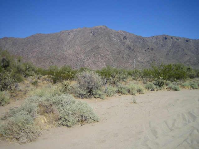 117 W South Of Ocotillo Rd. #L, Goodyear, AZ 85338