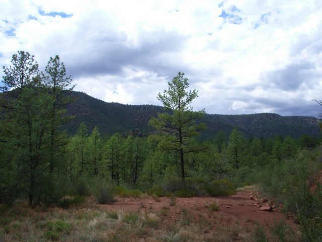 75 N Holly Dr. #75H, Pine, AZ 85544