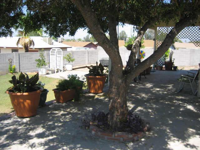 1910 E Kathleen Rd., Phoenix, AZ 85022