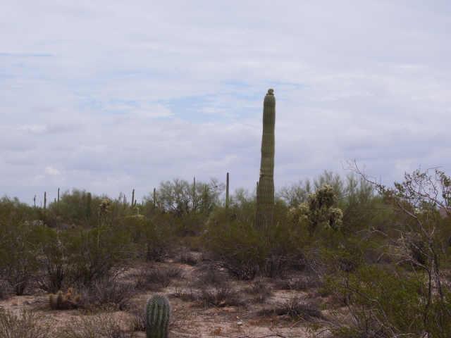 32 N Hohokam Rd., Florence, AZ 85232