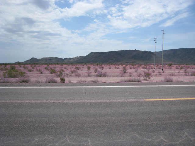 49618 60 Hwy. #1, Brenda, AZ 85354