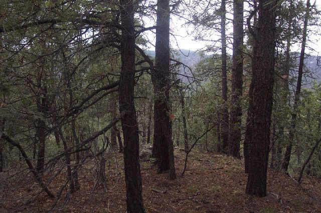 Off Big Bug Mesa Rd., Prescott, AZ 86303