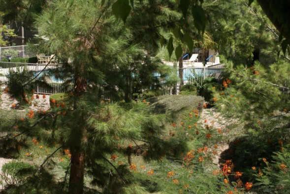 15380 N 100th St. #2123, Scottsdale, AZ 85260