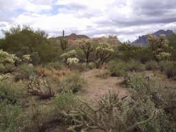 1060 E Tonto (approx) St., Apache Junction, AZ 85219