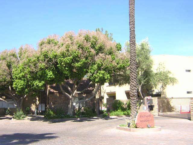 2228 N 52 St., Phoenix, AZ 85008
