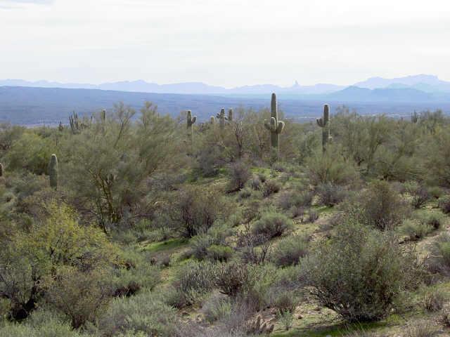 N 172-tonto Nat'l Forest St. #2, Scottsdale, AZ 85263