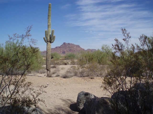 4230 N Ranier St., Mesa, AZ 85215