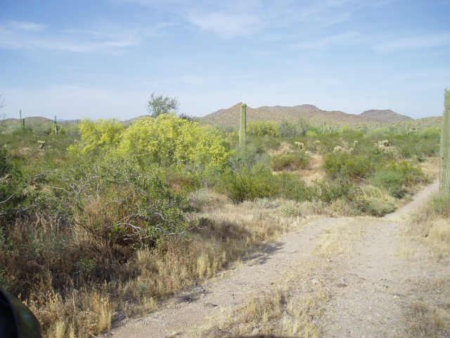 34652 W Painted Wagon Tr. #112, Wickenburg, AZ 85390