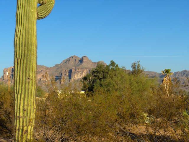 228 W Windsong St. #x, Apache Junction, AZ 85220