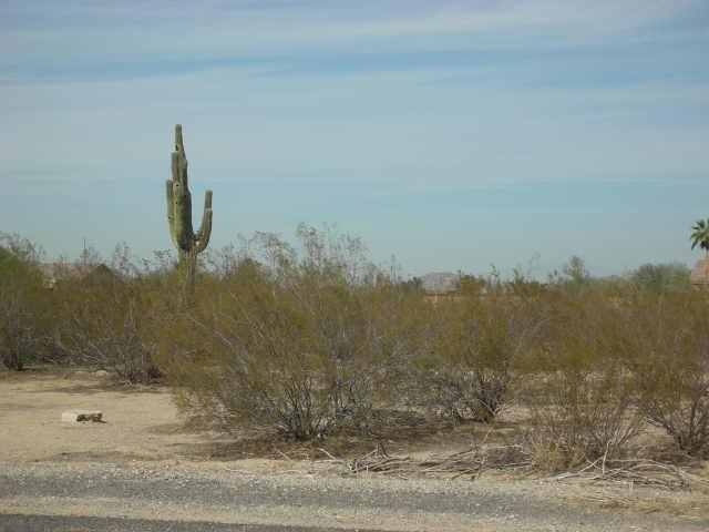 6920 W Camino De Oro #C, Peoria, AZ 85383