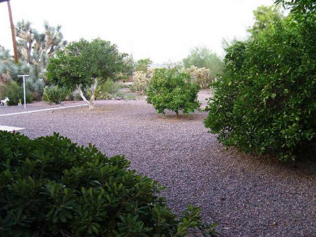 5714 E Colby Rd., Mesa, AZ 85205