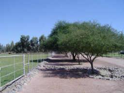 16810 W Pioneer Ave. #2, Goodyear, AZ 85338