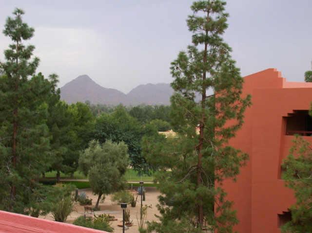 12222 N Paradise Village Parkway S Pkwy. #419, Phoenix, AZ 85032