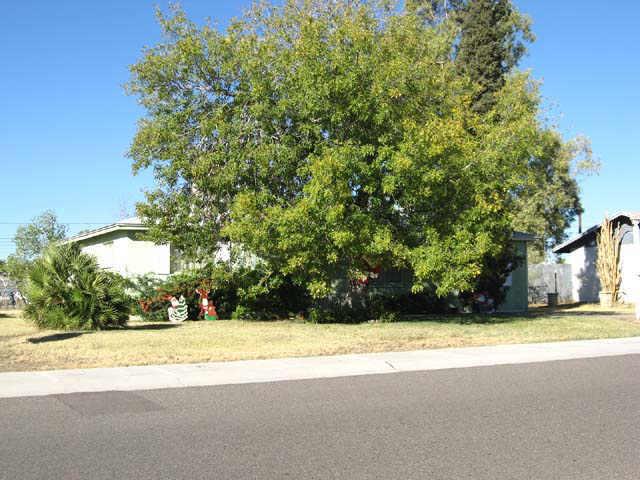 2615 E Vista Dr., Phoenix, AZ 85032