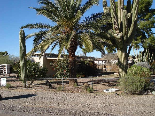 2490 W Scenic St. #19, Apache Junction, AZ 85220