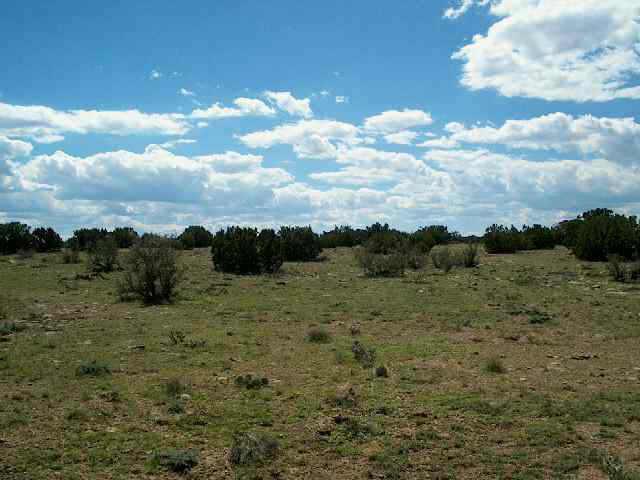 Chevelon Retreat, Heber, AZ 85928