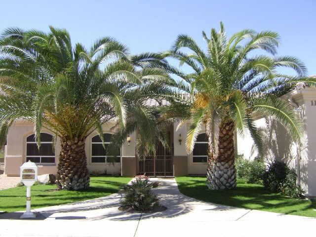 11624 N Hayden Rd., Scottsdale, AZ 85260