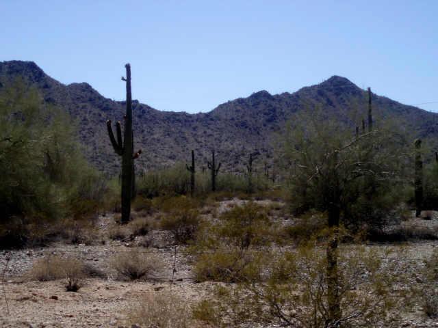 W Dune Shadow Rd. #2C, Maricopa, AZ 85139