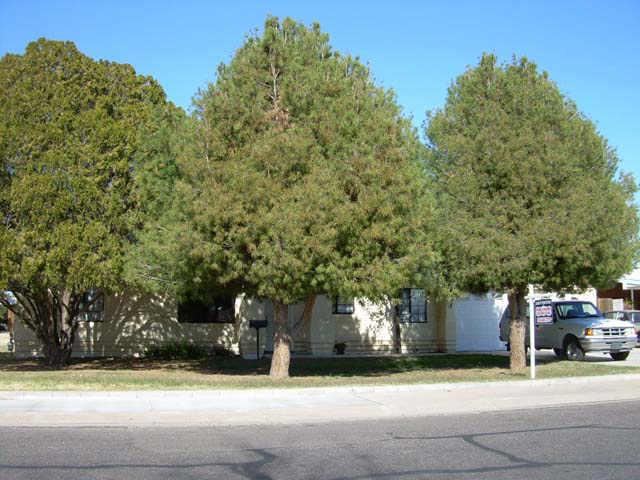 1442 W Pepper Pl., Mesa, AZ 85201