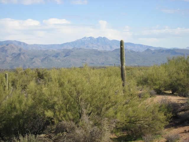 142 E Villa Cassandra Dr. #E, Scottsdale, AZ 85262