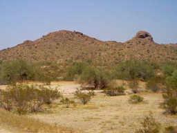 143 W Oberlin-parcel 2 Lot D Ave. #D, Surprise, AZ 85387