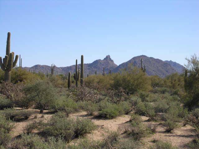 79 E Nimitz Rd., Scottsdale, AZ 85255