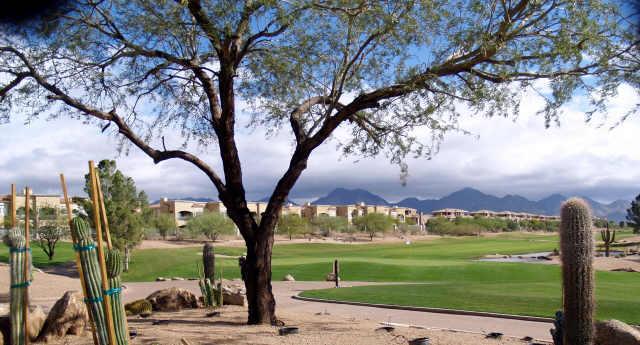 8245 E Bell Rd. #220, Scottsdale, AZ 85260