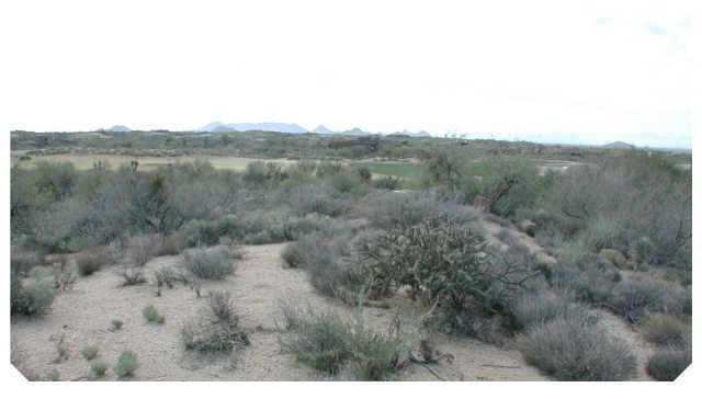 11277 E Honey Mesquite Dr. #122, Scottsdale, AZ 85262