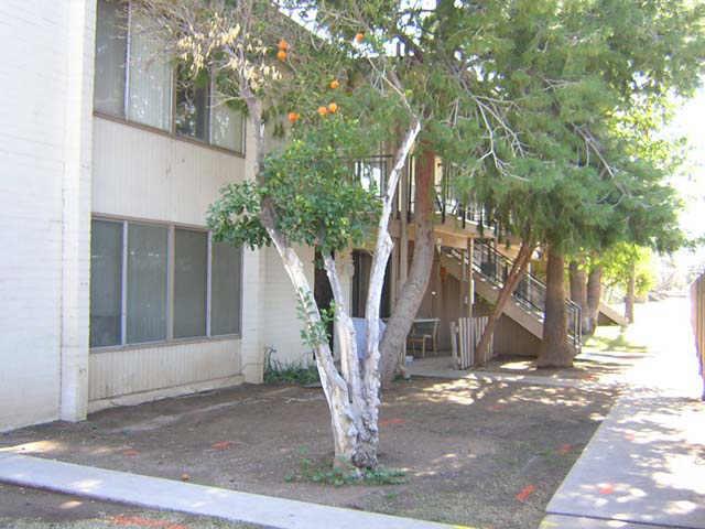 2415 W Hazelwood St. #79, Phoenix, AZ 85015