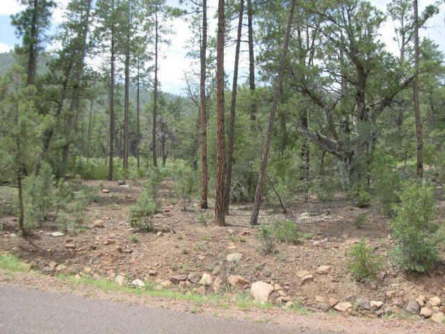 39 Strawberry Hollow, Pine, AZ 85544