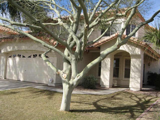 3232 E Muirwood Dr., Phoenix, AZ 85048