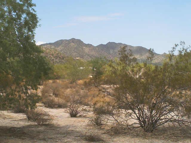 1845 N Maggie Way #51, Maricopa, AZ 85239