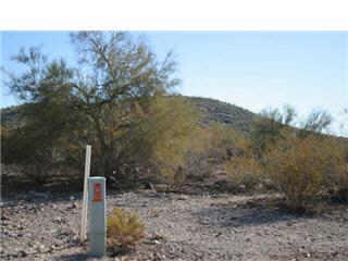 448 N 18th St. #5, New River, AZ 85087