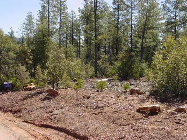 48 Forest Tr., Pine, AZ 85544