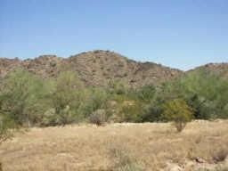 55340 W Ivory Rd. #60, Maricopa, AZ 85239