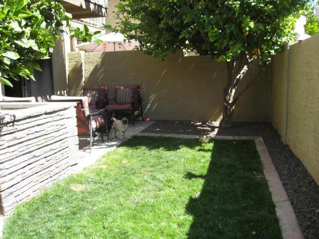 11011 N 92nd St., Scottsdale, AZ 85260