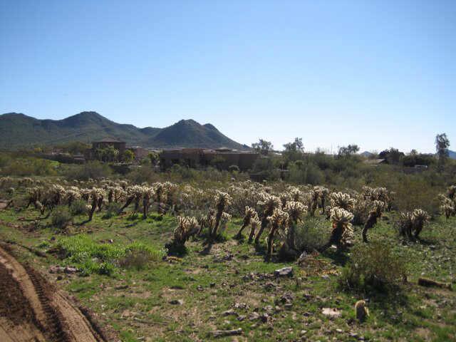 3201 W Long Rifle Rd. #3, Desert Hills, AZ 85086