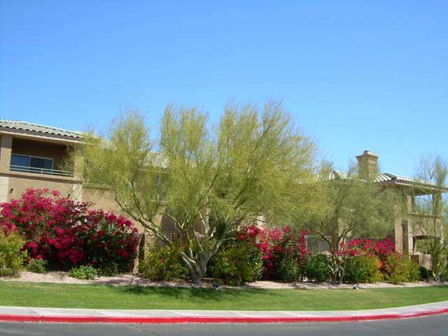 16013 S Desert Foothills Pkwy., Phoenix, AZ 85048