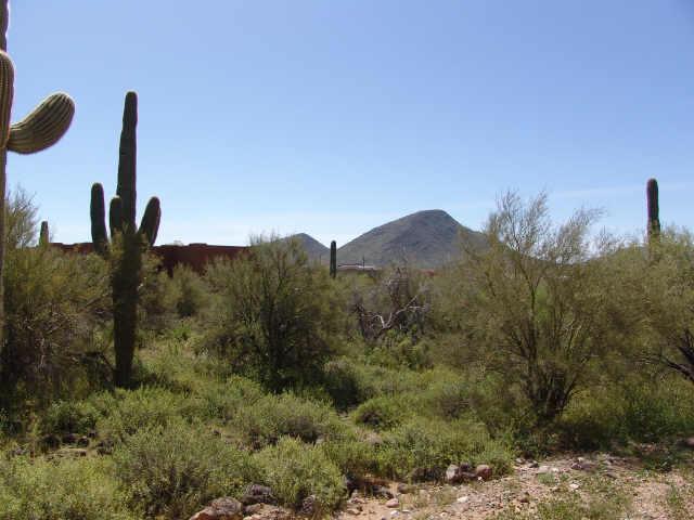 44413 N 20th St., New River, AZ 85087