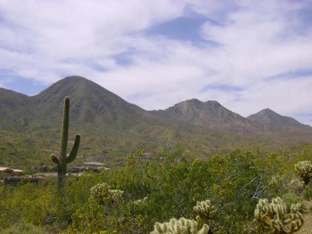 16384 N Dryad Pl. #48, Fountain Hills, AZ 85268