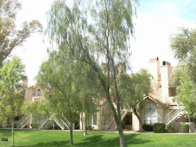 2333 E Southern Ave. #1065, Tempe, AZ 85282
