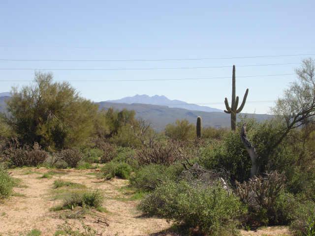 28 N 176th St., Rio Verde, AZ 85262