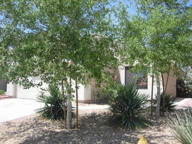 24008 W Antelope Tr., Buckeye, AZ 85326